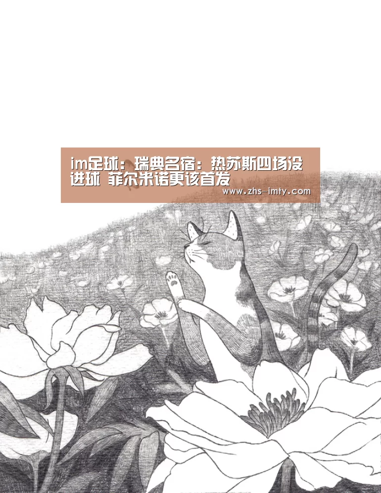 im足球:瑞典名宿:热苏斯四场没进球 菲尔米诺更该首发(图2) im足球