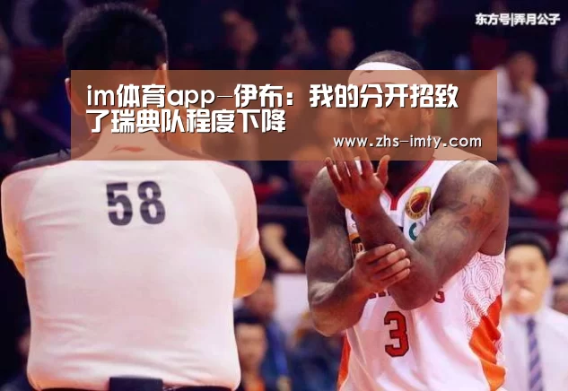 im体育app-伊布:我的分开招致了瑞典队程度下降(图2) im体育官网